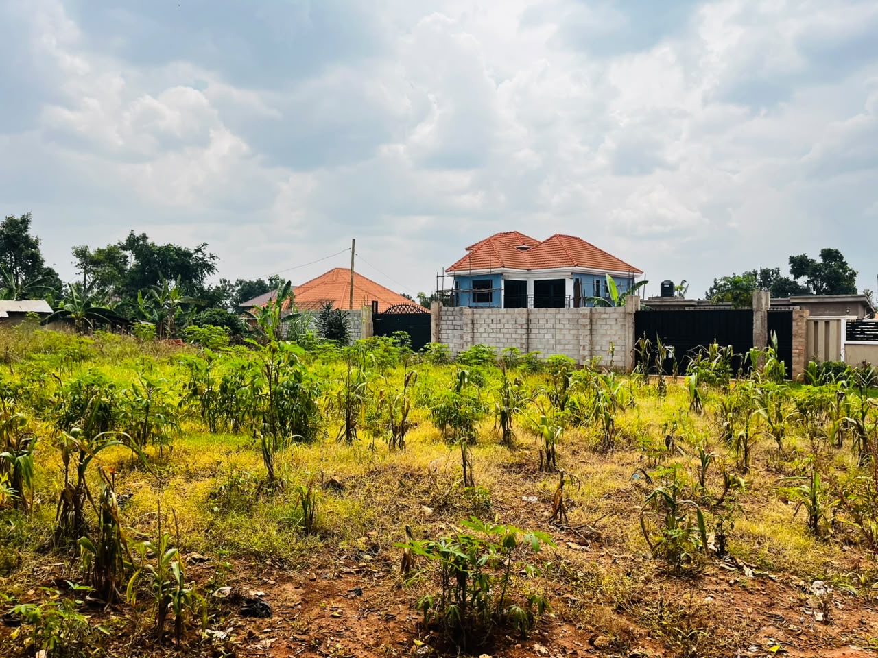 100X 100 Plot For Sale in Kira selling at 175M — photo 1