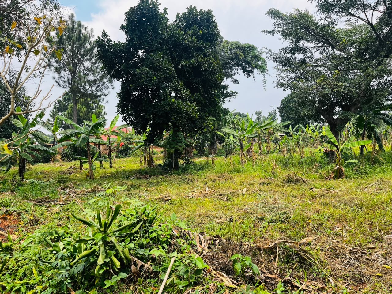 100X 100 Plot For Sale in Kira selling at 175M — photo 2