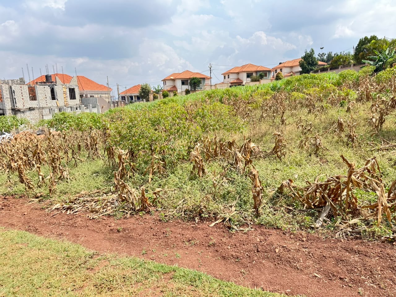 19 Decimals Of Land For Sale in Kira Shimoni @ 200M